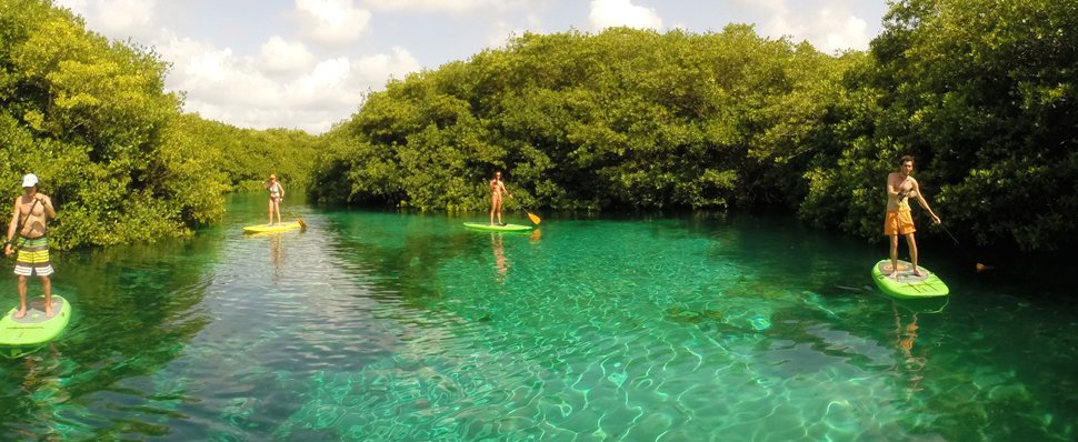   Tulum paddleboarding snorkeling cenotes tour is the best activity you can do once you are in the Riviera Maya. Join our tour you will love it 