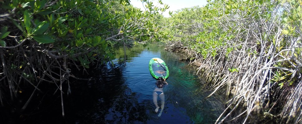   Tulum paddleboarding snorkeling cenotes tour is the best activity you can do once you are in the Riviera Maya. Join our tour you will love it 