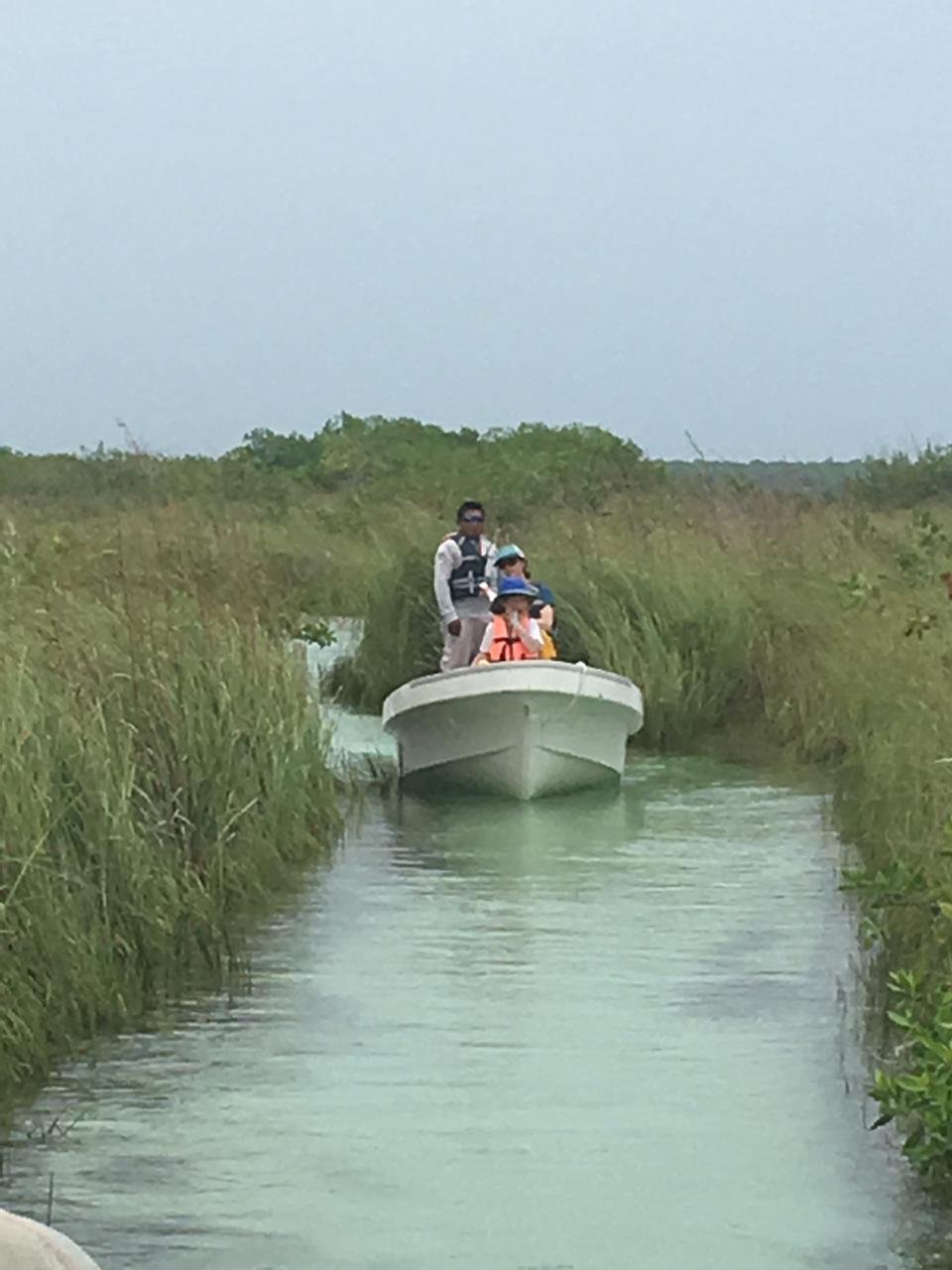  Tulum locals tours, Muyil Ruins, Sian Kaan lagoons, mayan rivers, Tulum Scuba diving lessons, cenotes tour, caver diving, scuba diving, reaf diving  Tulum paddleboarding snorkeling cenotes tour, paddleboard tours, paddleboard rent, Sup tours, Sup rent, Sup adventures, and El Cuyo Yucatan Kiteboarding Lessons, Hydrofoil Lessons, kitesurfing Lessons, Kitesurf, Kiteboard, Tours, Accommodations Extreme Control Adventures