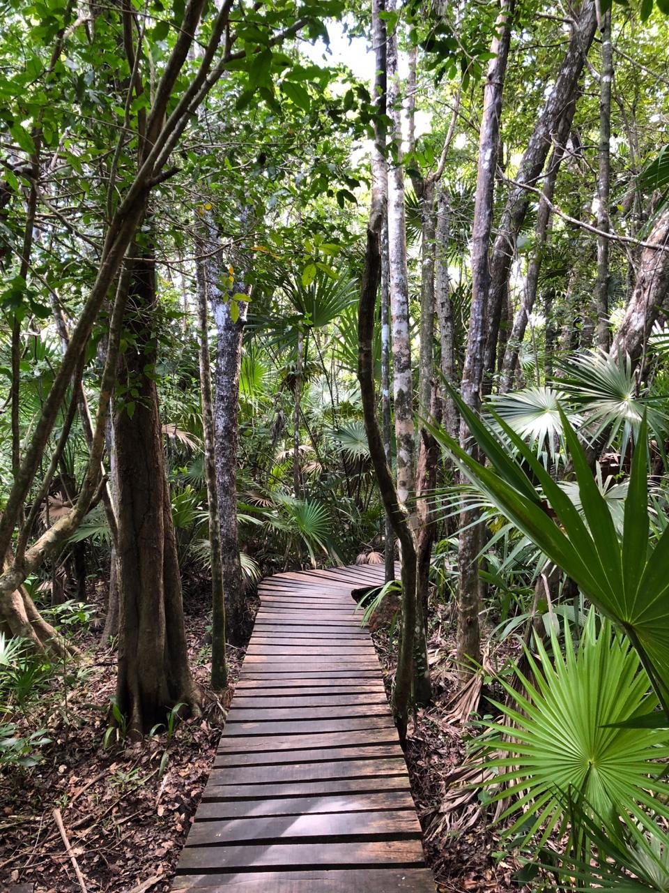  Tulum locals tours, Muyil Ruins, Sian Kaan lagoons, mayan rivers, Tulum Scuba diving lessons, cenotes tour, caver diving, scuba diving, reaf diving  Tulum paddleboarding snorkeling cenotes tour, paddleboard tours, paddleboard rent, Sup tours, Sup rent, Sup adventures, and El Cuyo Yucatan Kiteboarding Lessons, Hydrofoil Lessons, kitesurfing Lessons, Kitesurf, Kiteboard, Tours, Accommodations Extreme Control Adventures